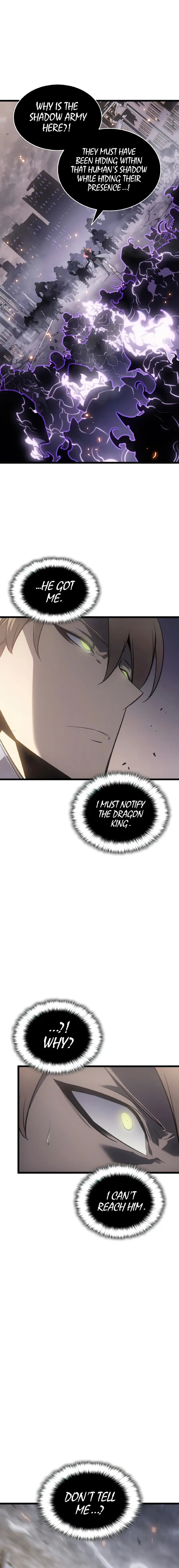 Read Solo Leveling Manga Chapter 172 Page 24